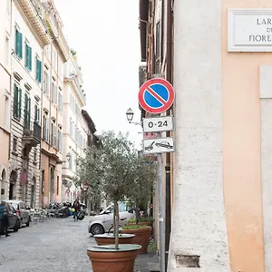 Domus Giulia ** Rome